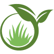 Scottsdale Lawn Clean Up