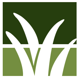 Scottsdale Lawn Clean Up