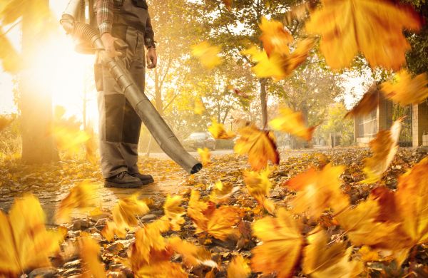 Cost of Leaf Blowing Service in Scottsdale