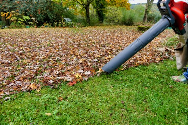 Cost of Leaf Vacuuming Service in Scottsdale