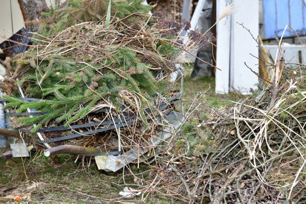 Cost of Yard Debris Removal in Scottsdale