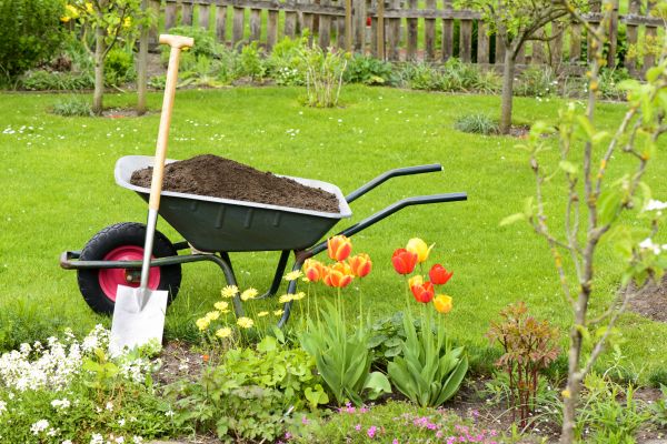 Cost of Spring Yard Cleanup in Scottsdale