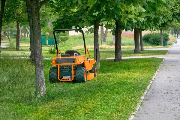 Cost of Landscaping Cleanup Service in Scottsdale
