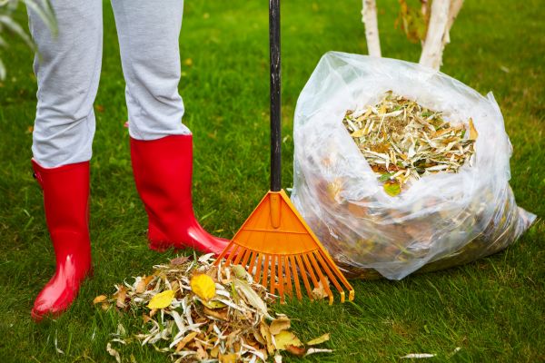 Cost of Leaf Disposal Service in Scottsdale