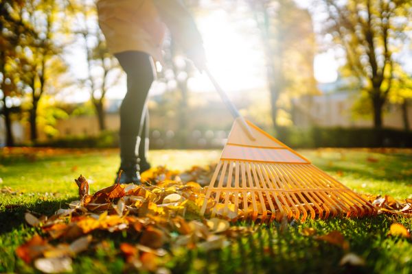 Cost of Leaves Raking in Scottsdale