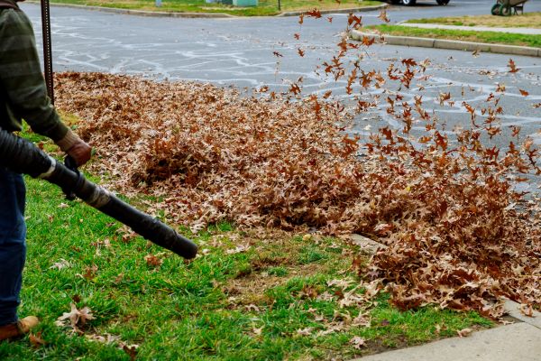 Cost of Garden Leaf Removal in Scottsdale