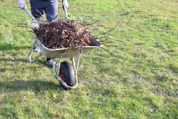 Cost of Yard Brush Removal in Scottsdale