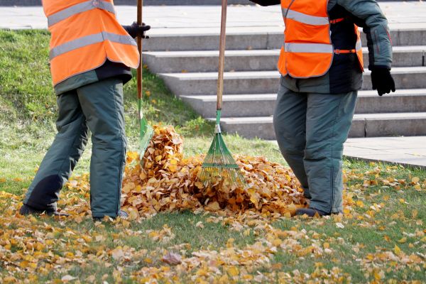 Cost of Leaf Hauling Service in Scottsdale