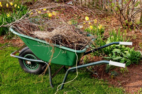 Cost of Lawn Waste Removal in Scottsdale