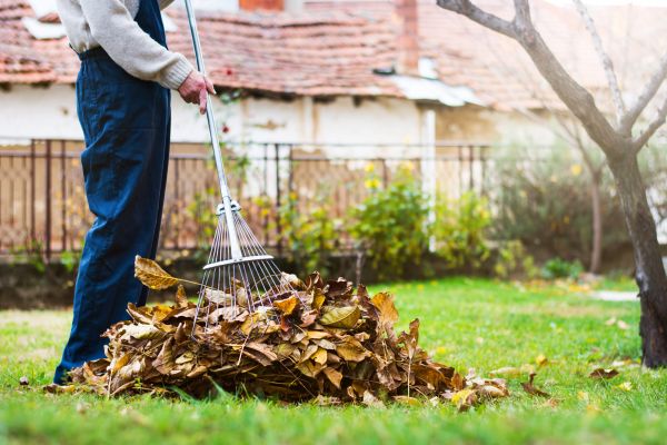 Cost of Fall Yard Cleanup Service in Scottsdale