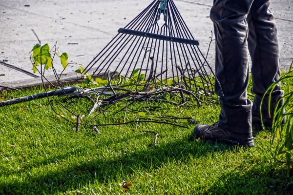 Cost of Yard Debris Cleanup in Scottsdale