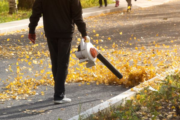 Cost of Commercial Leaf Removal in Scottsdale