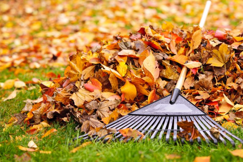Fall Lawn Cleanup Service detail