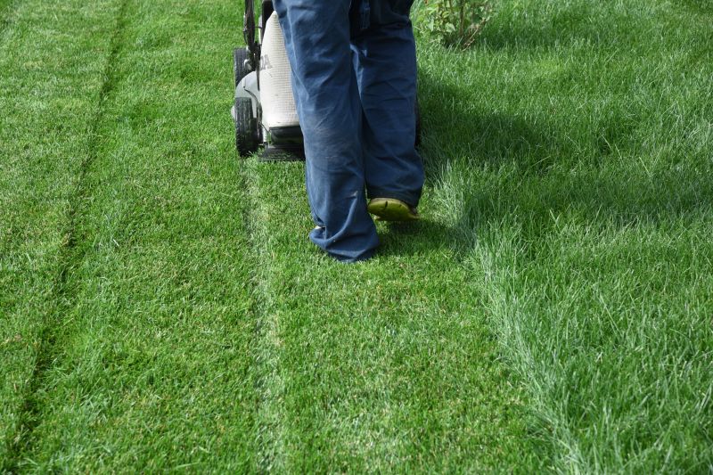 Independent Lawn Care Specialists