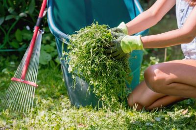 Why Fall And Spring Are The Best Times For Lawn Clean Up